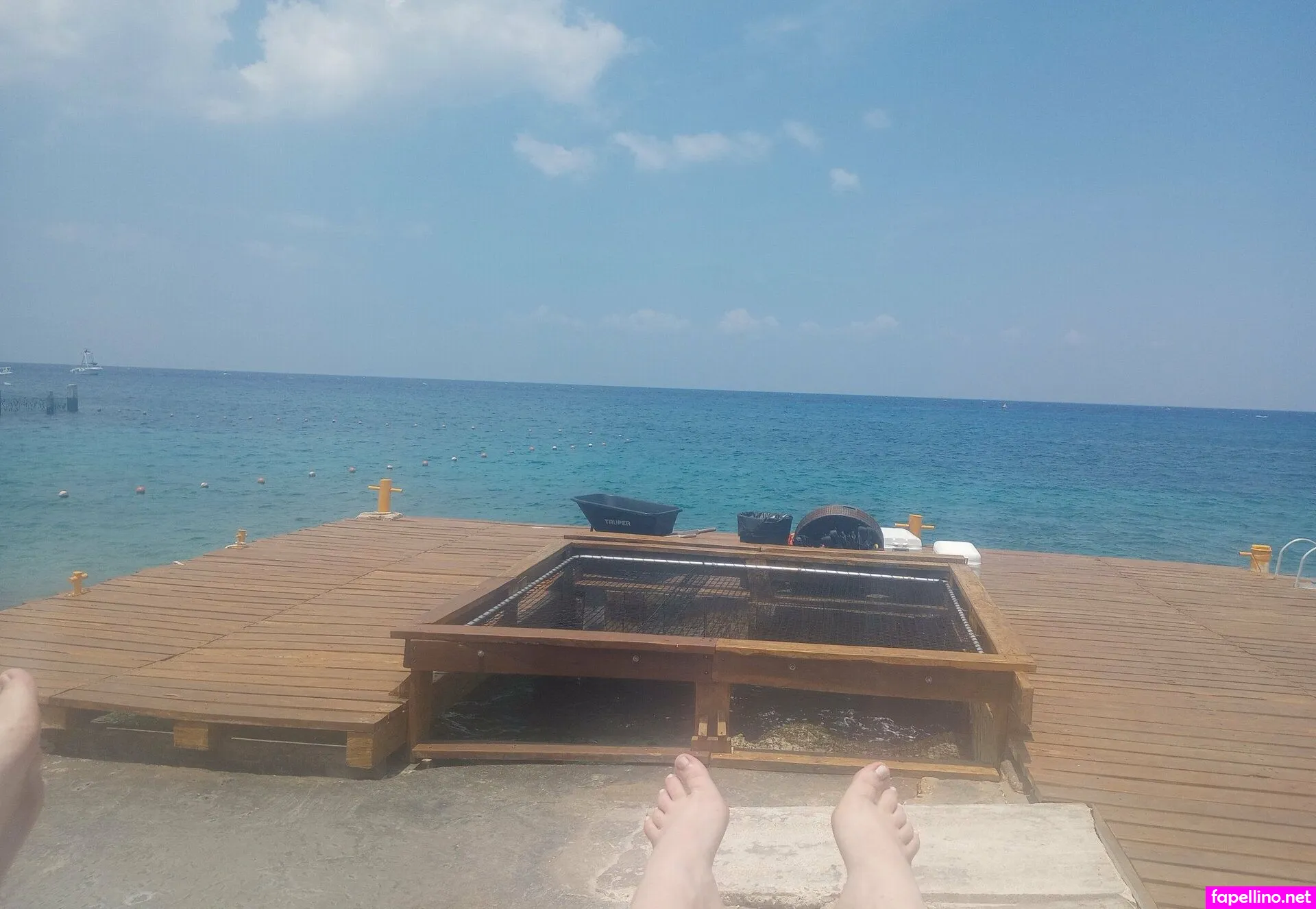 Red_loves_feet, reds_feet Leaked Nude Picture #UGmVyn46NV