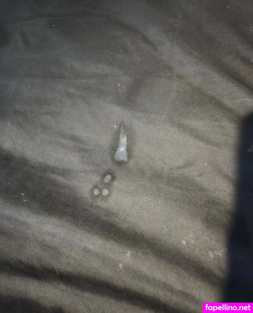 Sarahlusciousfree Leaked Nude Picture #8NwkvGQdCF