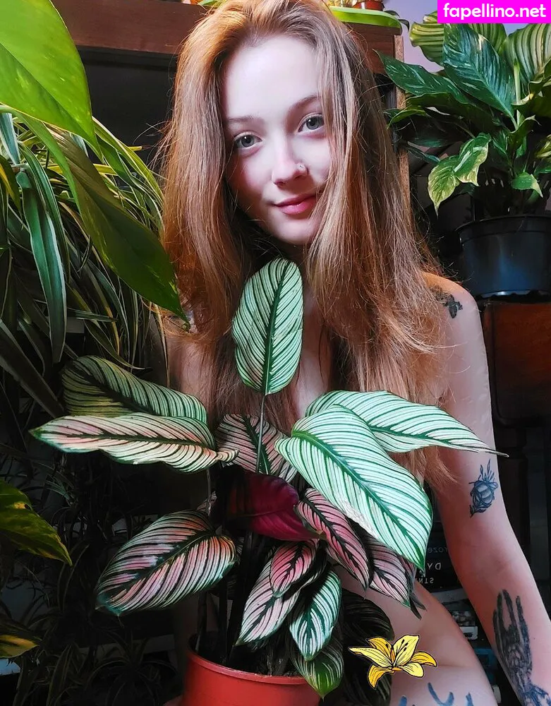 Sleepyvegan Leaked Nude Picture #WM4eqZJQTp