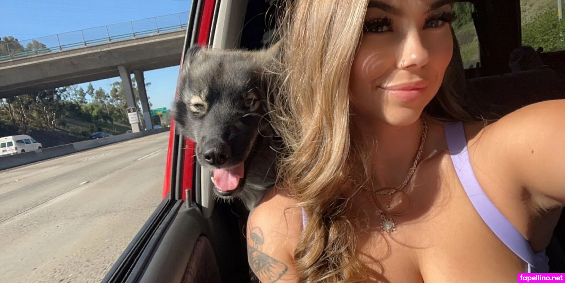 Sofiarosefree, sofiaroselive Leaked Nude Picture #MFM3wtu0Hr