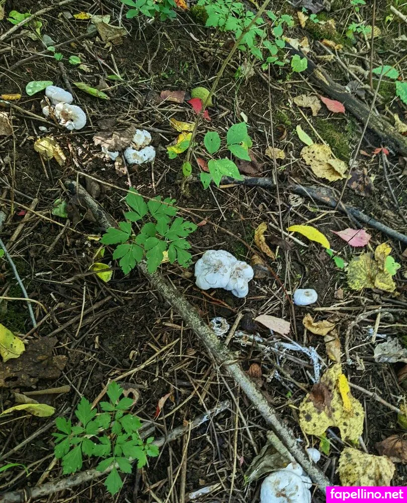 Sooshidawg Leaked Nude Picture #ZFCRbVvIIW