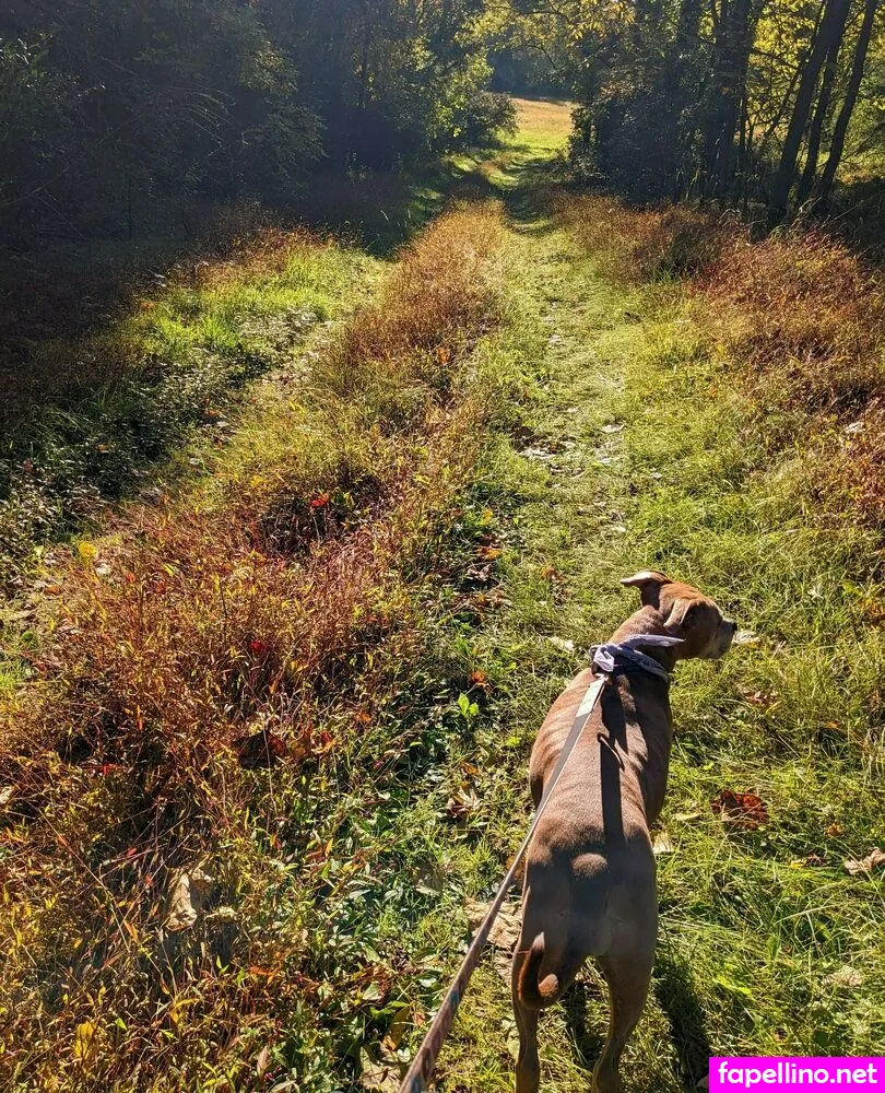 Sooshidawg Leaked Nude Picture #eTCWkn0gip