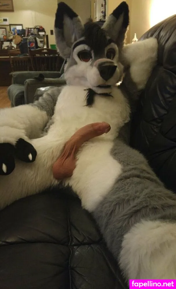 Silverglade.eventing.team, stallionwolf Leaked Nude Picture #URjCX8Edl5