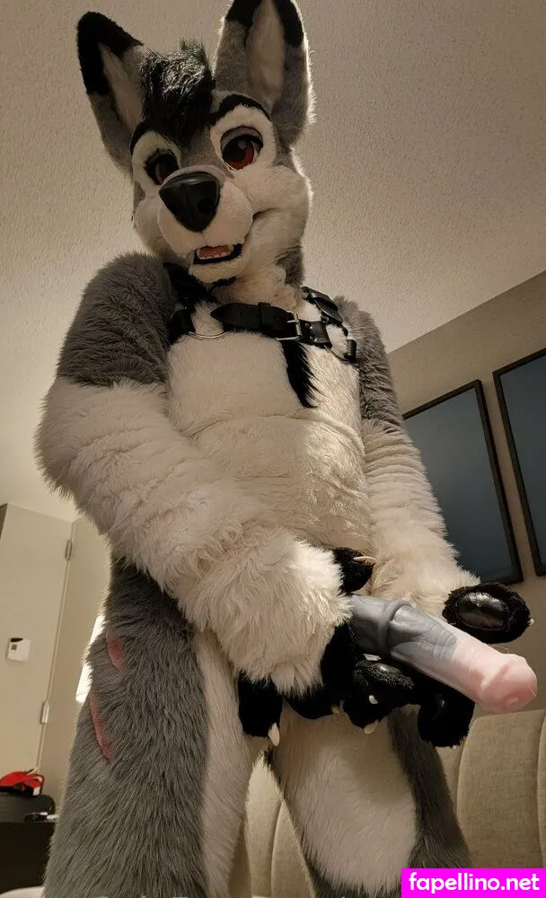 Silverglade.eventing.team, stallionwolf Leaked Nude Picture #roHkF7bwF8