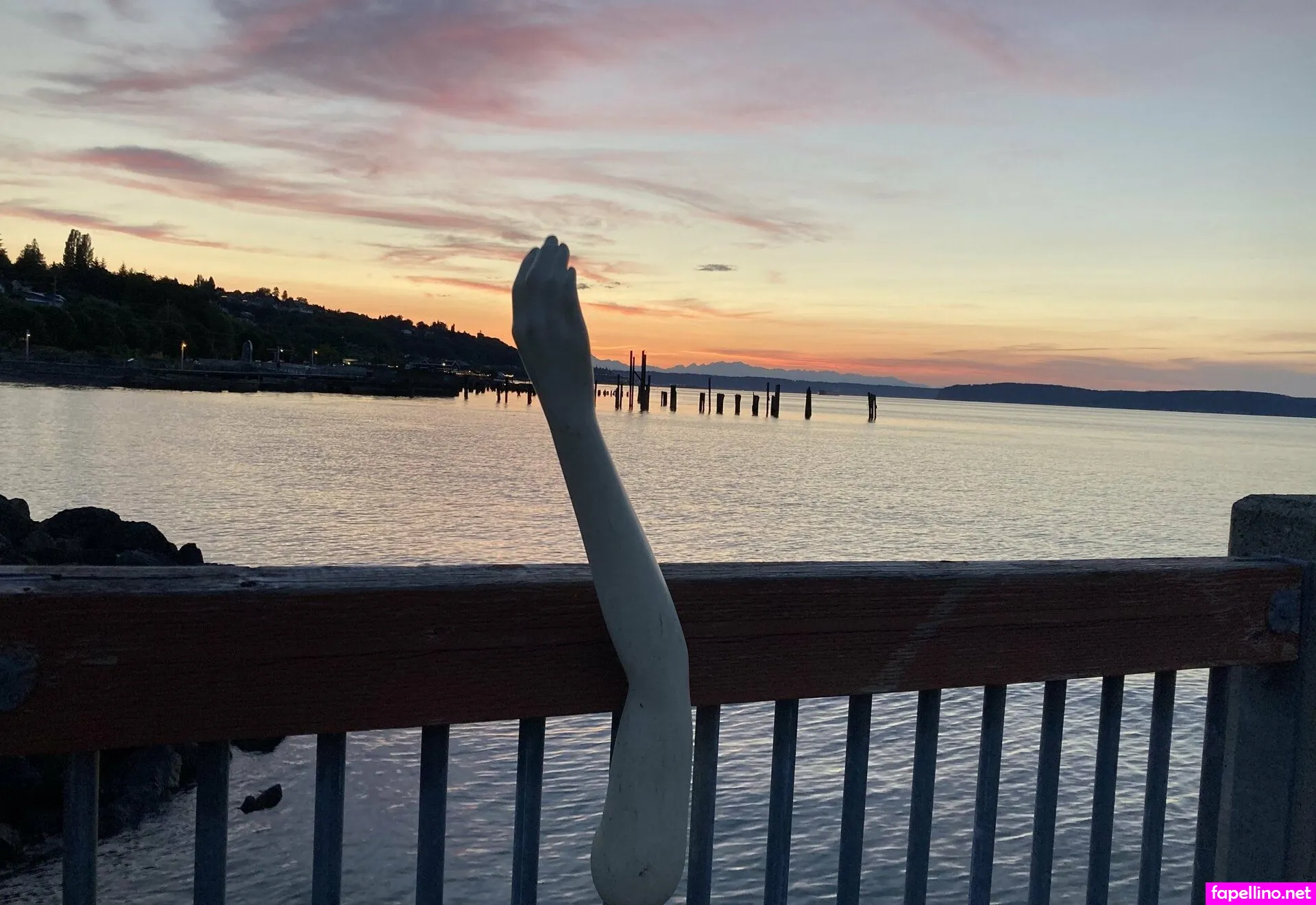 Tacoma_wa, tacomawa Leaked Nude Picture #9TzcCZTj7P