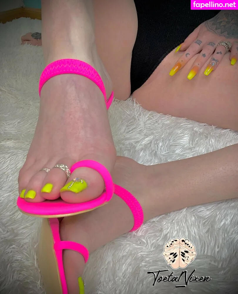 Toetal_vixen Leaked Nude Picture #J5kmb1vEkC