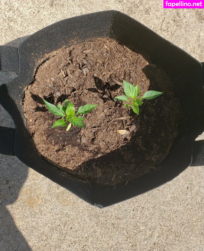 Plantropia, veronikaplants Leaked Nude Picture #dmrfqKPdGG