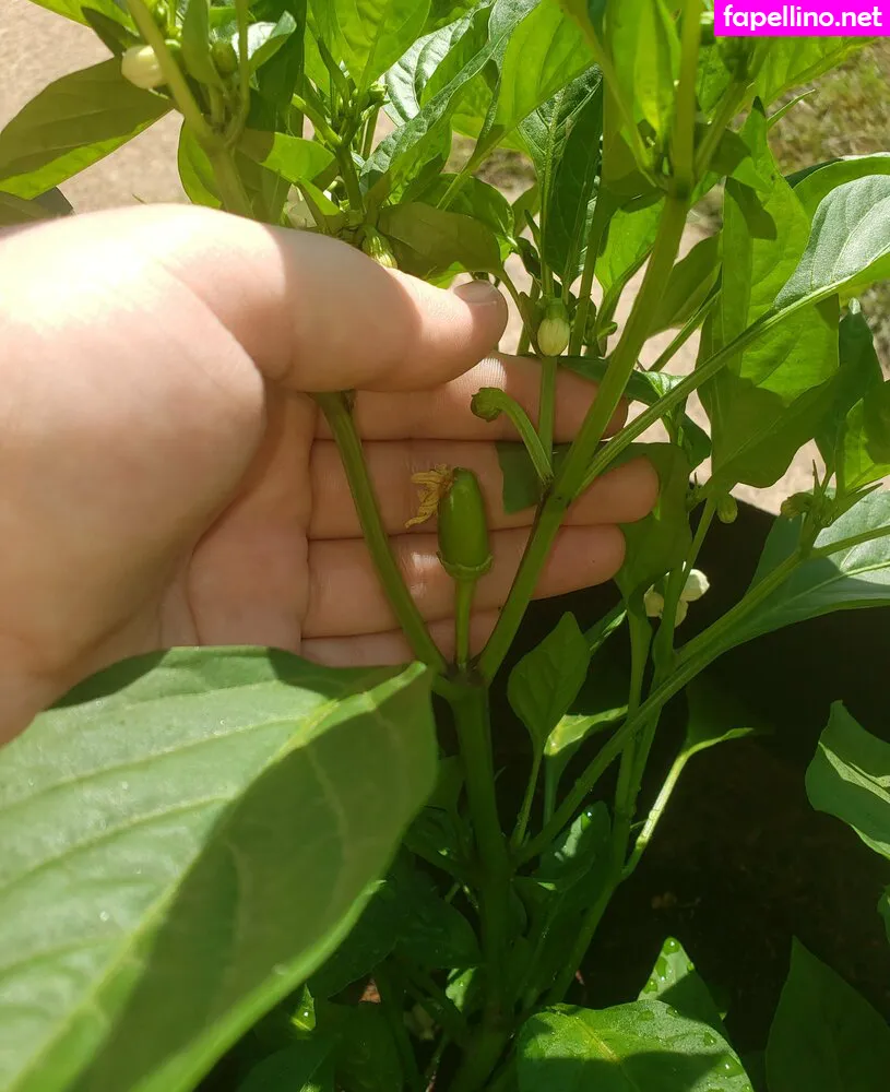 Plantropia, veronikaplants Leaked Nude Picture #ds1EjMppQD