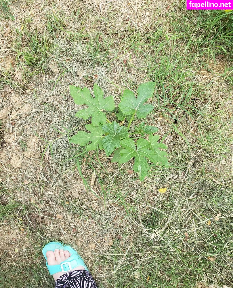 Plantropia, veronikaplants Leaked Nude Picture #x4OTVspr0M