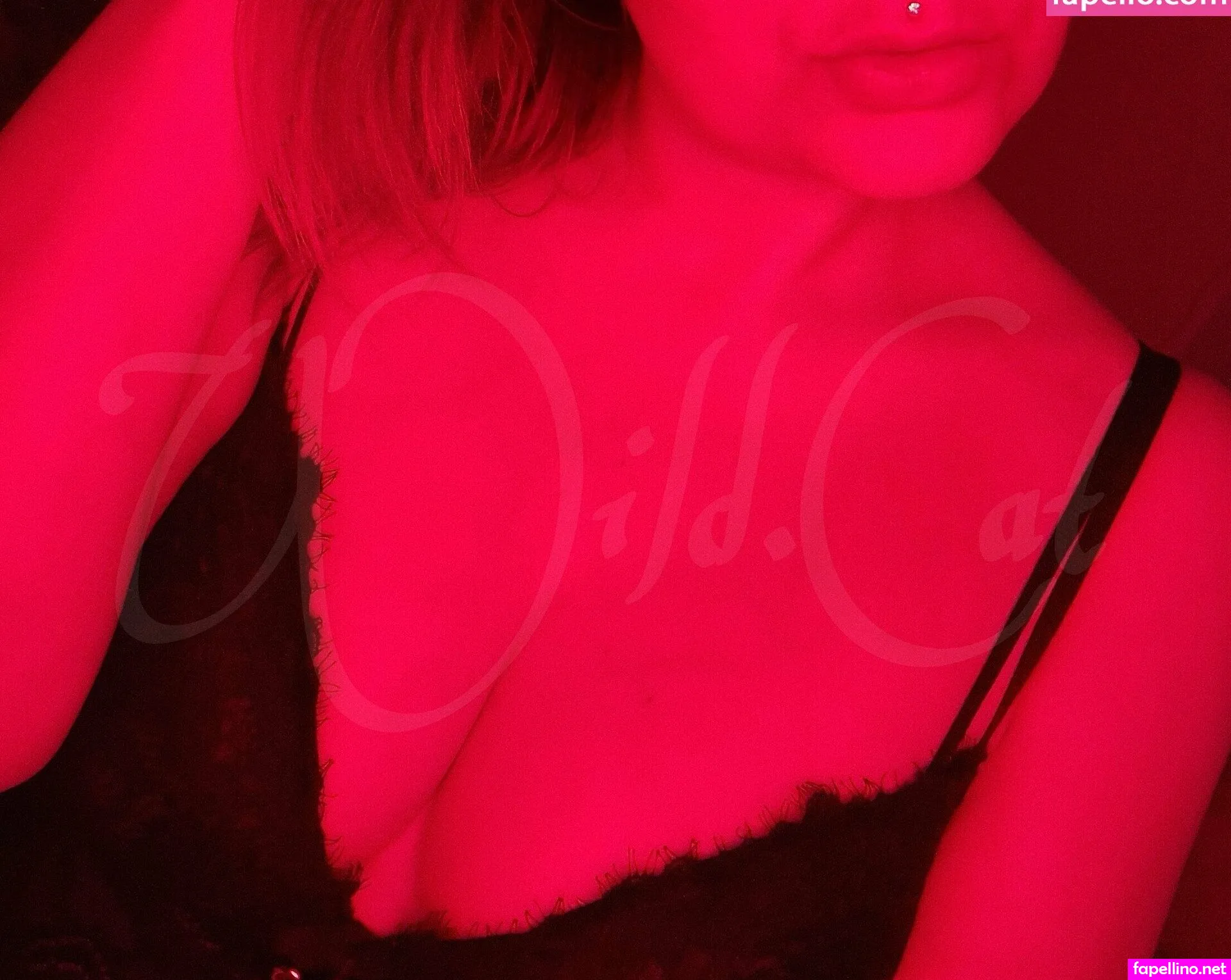 _free_wildcat, wild.catfree Leaked Nude Picture #57RbrkY0Bh