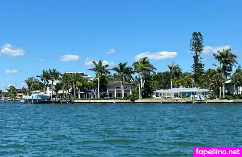 Wildlifeprovixen Leaked Nude Picture #NJyuNpucIY