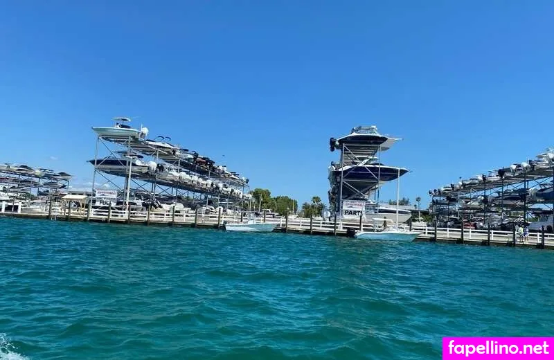 Wildlifeprovixen Leaked Nude Picture #ZYnWFFnmQp